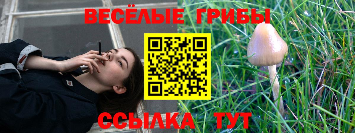 Орёл  Псилоцибиновые грибы Psilocybe  Вход с VPN 